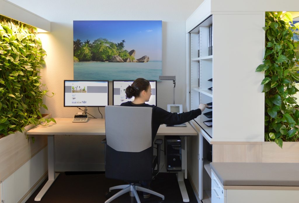 Platzsparende grüne Innovation: „Zwölf Mitarbeiter fühlen sich jetzt im Büro wohler als vorher acht“