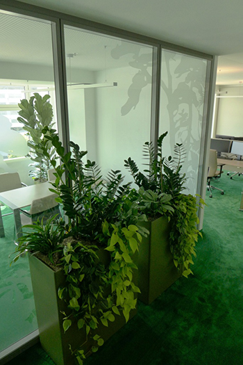 Schilfgrüne Gefäße als Büro Dschungel gestaltet