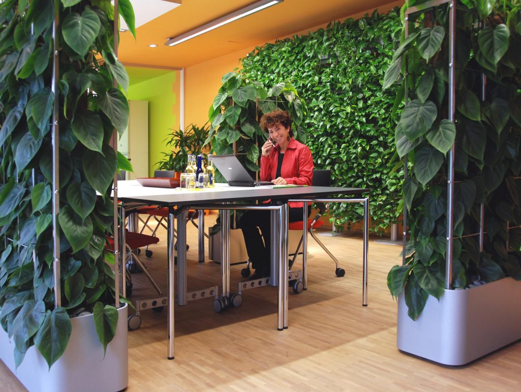 „Grüne Revolution“ in deutschen Büros