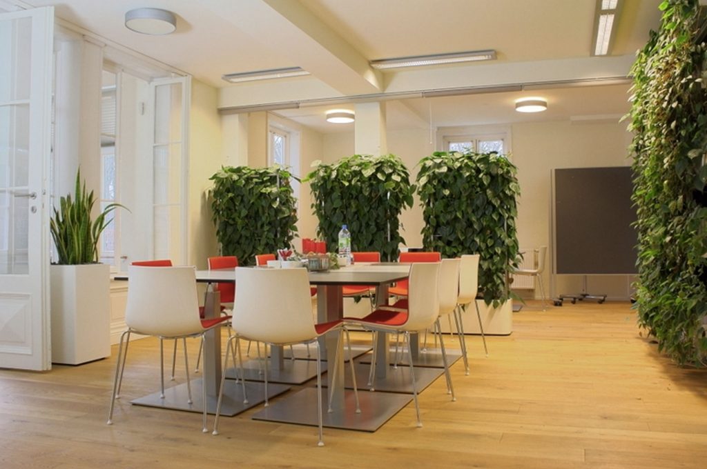 Die Pflanzenwand: Grün an den Wänden oder mobil im Raum