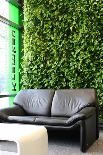 PLANT-ED-WALL™- Grüne Wände