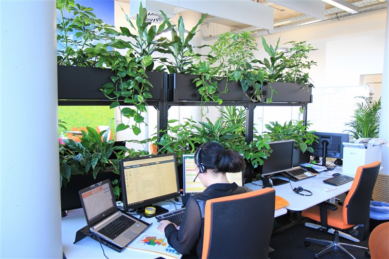 Technik meets Lebendigkeit – Wenn das Büro zum Dschungel wird…