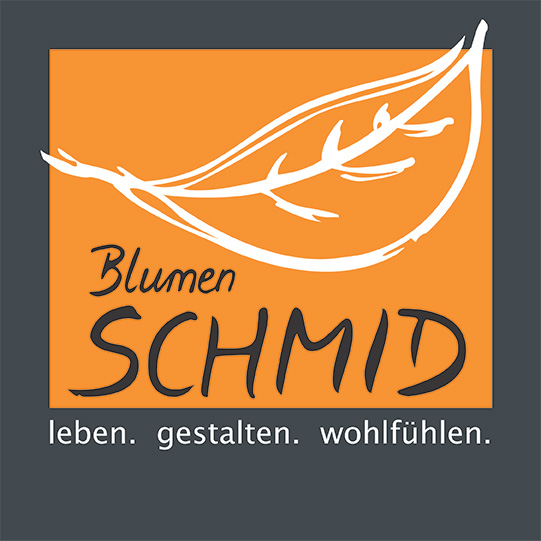 Blumen Schmid Kassel - Logo